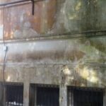 a50c6293-7b34-4d6e-9f6b-1822fd24a60a